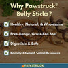 Bully Stick Variedad Pack para Perros | Mejor Mezcla de Natural Baja Olor de carne Stix | Pizzle Dental Treat Chews: Recto, Trenzado, Anillo, Primavera, Barbell, Pretzel, etc. - BESTMASCOTA.COM