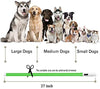 Collar LED para perro, recargable por USB, collar brillante para perro, cuello iluminado, mejora la seguridad y visibilidad de la mascota en la noche, 3 modos intermitentes, resistente al agua, collar iluminado para perros pequeños y medianos grandes - BESTMASCOTA.COM