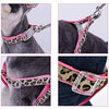 PAWZ Road Leopard Pet Leash Collar Arnés Set - BESTMASCOTA.COM