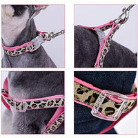 PAWZ Road Leopard Pet Leash Collar Arnés Set - BESTMASCOTA.COM