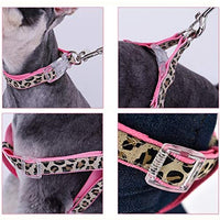 PAWZ Road Leopard - Juego de arnés para collar de mascota - BESTMASCOTA.COM