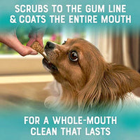 Frontline Oral Defense Daily Dental Chews for X-Small Dogs - BESTMASCOTA.COM