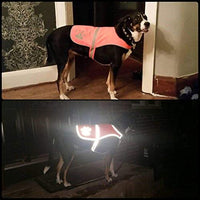 maggift perro chaleco reflectante para mascotas, chaleco de seguridad naranja - BESTMASCOTA.COM