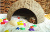 Coco Shell Hut hábitat Natural Hideout para pescado, lagartos, arañas, Hermit Crabs, reptiles, Hámsters orgánico no tóxico Hideout - BESTMASCOTA.COM