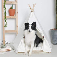 Little Dove Teepee Dog & Cat – Cama perro Tiendas de campaña portátil & Pet Casas Beige para Perros Pequeños Color 24 inch (con o sin cojín opcional) - BESTMASCOTA.COM