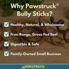 Pawstruck Mini Bully Sticks para perros pequeños y cachorros – Natural Bulk Dental Treats para razas de juguete, carne de vacuno en miniatura mejor bajo olor Pizzle Stix masticar en primavera, trenzas, pesas - BESTMASCOTA.COM