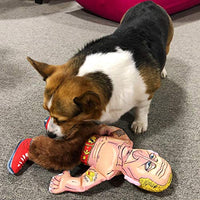 FUZZU Political Parody Dog Toys with Squeakers (Medium to Large Dogs), Various Styles (Bernie, Bill, Donald, Hillary, Vladimir) - Fun & Entertaining, Durable, Hand Illustrated Design & Premium Quality - BESTMASCOTA.COM