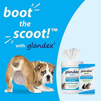 Glandex - Toallitas higiénicas para mascotas, limpieza y desodorizante, para perros y gatos con vitamina E, acondicionadores de piel y aloe - BESTMASCOTA.COM