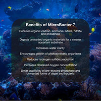 Brightwell Aquatics MicroBacter7, Bacterias y Acondicionador de Agua para Tanque de Pescado o Acuario, Popula los Medios de Filtro Biológico para Agua Salada y Peces de Agua Dulce - BESTMASCOTA.COM