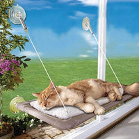 Sunny Seat Cama de gato, Ventana Perch Ventana Asiento Ventosa Vasos Ahorro de Espacio Gato Hamaca Mascota Asiento de Respaldo Estantes de Seguridad Gato – Proporciona todo alrededor de 360 ° Sunbath para gatos pesado hasta 30 lb, Albaricoque - BESTMASCOTA.COM