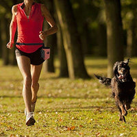 Bolsa de entrenamiento para mascotas con cinturón para mascotas Juguetes Kibble Treats Sport Running Cordón Cintura Bolsa de Caca Dispensador - BESTMASCOTA.COM