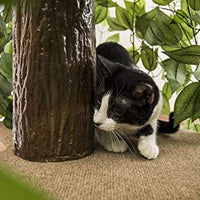 On2Pets Cat Condo Muebles - BESTMASCOTA.COM