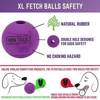 Pelotas de juguete para perros de Chew King, extremadamente duraderas, colección de juguetes Fetch, se adapta a lanzadores de pelotas - BESTMASCOTA.COM