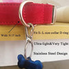 IVIA - Clips para etiquetas de perro, múltiples tamaños de acero inoxidable 304, clip rápido con anillos/fácil cambio de identificación para mascotas para collares y arneses. - BESTMASCOTA.COM