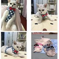 Stock Show - Chaleco arnés para gatos y perros con correa a juego con un bonito lazo, correa desmontable Reteo estilo británico arnés para cachorros medios, perros y gatos - BESTMASCOTA.COM