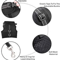 Unihubys - Arnés para gato con correa ajustable, material de malla suave con fuerte anilla en D para mayor tranquilidad, ideal para caminar - BESTMASCOTA.COM