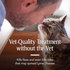 PETARMOR Plus Flea & Tick Prevention for Cats with Fipronil, Waterproof, Long-Lasting & Fast-Acting Topical Cat Flea Treatment - BESTMASCOTA.COM