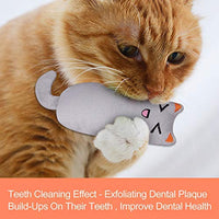 Bojafa Cat Catnip Juguetes para Gato Juguete Masticar Dientes Limpieza - Almohada Creativa Rasguño Mascota Catnip Dientes Molienda Masticar Juguetes - BESTMASCOTA.COM