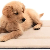 Derikor - Cama para perro, lavable a máquina - BESTMASCOTA.COM