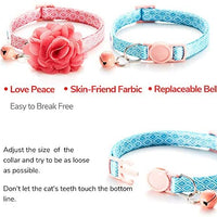 UFBemo - Collar para gato con correa ajustable con hebilla de seguridad y collar de nailon resistente, cuello de 9 a 13 pulgadas - BESTMASCOTA.COM