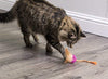 SmartyKat - Juguete para gatos con pluma - BESTMASCOTA.COM