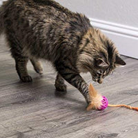 SmartyKat - Juguete para gatos con pluma - BESTMASCOTA.COM