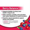 Solid Gold Berry Balance Supplement Powder for Urinary Tract Health with Cranberries & Blueberries for Dogs & Cats - BESTMASCOTA.COM