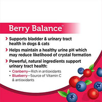 Solid Gold Berry Balance Supplement Powder for Urinary Tract Health with Cranberries & Blueberries for Dogs & Cats - BESTMASCOTA.COM