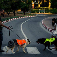 Chaleco reflectante de seguridad para perros, 5 tamaños para adaptarse a perros de 10 libras – 130 libras: alta visibilidad para actividades al aire libre día y noche, mantiene a tu perro visible, seguro de coches y accidentes de caza | Blaze Orange chale - BESTMASCOTA.COM