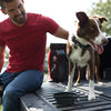 Franklin Pet Supply - Cuenco plegable para mascotas sin BPA, aprobado por la FDA – Perros – Gatos - BESTMASCOTA.COM