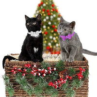 Joansan Adjustable Cats Collar Bell, Personalized Leather Bowtie, Safety Pets Cat Collars with Elastic, Length 7-10 Inch Good for Cat, Kitten and Puppy, 2 Packs Bowtie Pet Collars - BESTMASCOTA.COM