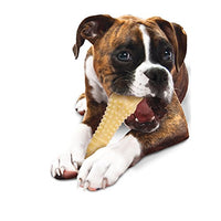 Nylabone Dura Chew Textured Dog Chew, X-Large - BESTMASCOTA.COM