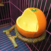 Pxlucky - Comedero para pájaros, cuenco para comida de pájaros, taza para loros pequeños, cacatúas, hámster, pequeño animal, recipiente para agua potable para pájaros, jaula de accesorios - BESTMASCOTA.COM