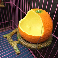Pxlucky - Comedero para pájaros, cuenco para comida de pájaros, taza para loros pequeños, cacatúas, hámster, pequeño animal, recipiente para agua potable para pájaros, jaula de accesorios - BESTMASCOTA.COM