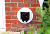 SureFlap Microchip Cat Flap - BESTMASCOTA.COM