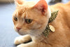 Necoichi Ninja Cat Collar - BESTMASCOTA.COM