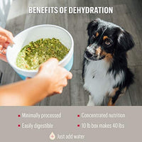 The Honest Kitchen - Alimento para perros de grano entero orgánico deshidratado de grado humano - BESTMASCOTA.COM