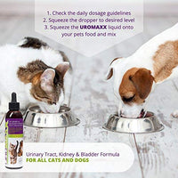 UroMAXX Urinaria Tract, Kidney & Bladder Fórmula para gatos y perros 6oz - BESTMASCOTA.COM