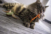 SmartyKat Fish Friends Crinkle and Catnip Juguetes para gatos - BESTMASCOTA.COM