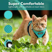 Eagloo Arnés de gato a prueba de escape, arnés de malla suave ajustable para gato con correa reflectante de metal para caminar chaqueta cómoda para mascotas Gatito cachorro conejo - BESTMASCOTA.COM