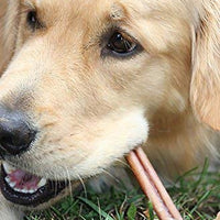 Downtown – Fuente para mascotas de 6.0 in con pegatinas – gama gratuita estándar de 6 pulgadas de espesor seleccionado para perros dentales, aprobado por USDA/FDA - BESTMASCOTA.COM