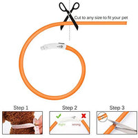 Collar LED para perro, recargable por USB, collar brillante para perro, cuello iluminado, mejora la seguridad y visibilidad de la mascota en la noche, 3 modos intermitentes, resistente al agua, collar iluminado para perros pequeños y medianos grandes - BESTMASCOTA.COM