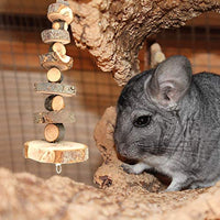 S-Mecánico Conejo Masticar Juguetes Naturales de Manzana Pequeños Animales Juguetes para Masticar Conejos Chinchilla Hámsters Cobayas Gerbils - BESTMASCOTA.COM