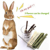 Dbeans Flourithing 3 tipos de juguetes combinados para masticar palos molar dulce de bambú de manzana rama Timothy hierba para mascotas Chinchilla ardilla gerbil hámster ardilla cobayas - BESTMASCOTA.COM