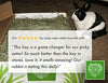 Small Pet Select Orchard Grass Hay Pet Food - BESTMASCOTA.COM