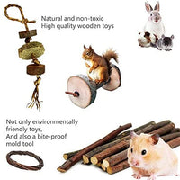 Juguetes para mascotas de cobaya, manzana natural y abedul, divertido juguete para ejercitar mancuernas, mantiene a tu pequeña mascota más cerca de la naturaleza, cuidado de los dientes molar, para chinchilla hámster conejos, pájaro, rata, gerbo. - BESTMASCOTA.COM