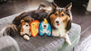 Outward Hound Invincibles Minis Puppy Dog Toy - BESTMASCOTA.COM