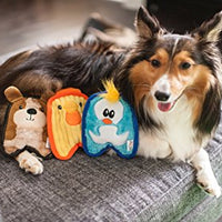 Outward Hound Invincibles Minis Puppy Dog Toy - BESTMASCOTA.COM