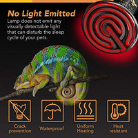 Simple Deluxe - Bombilla emisora de calor de cerámica para reptiles, sin emisión de luz - BESTMASCOTA.COM