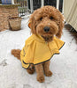 Fashion Pet días lluviosos Slicker Amarillo Raincoat - BESTMASCOTA.COM